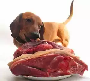 мясо для собак