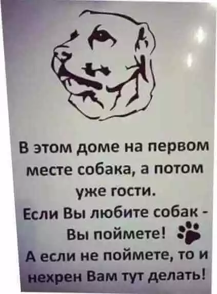 в гостях где есть собака